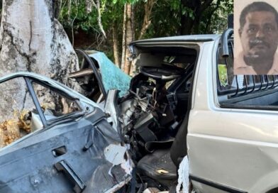 Motorista morre após carro se chocar com árvore na divisa entre Porciúncula e Tombos