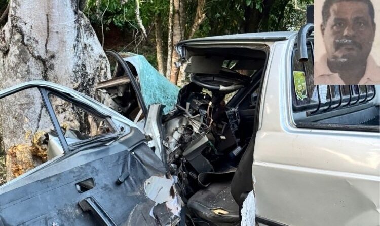 Motorista morre após carro se chocar com árvore na divisa entre Porciúncula e Tombos