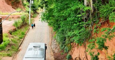 Árvore em Risco Iminente de Deslizamento Coloca Vidas em Perigo em Parque Lajinha, Natividade