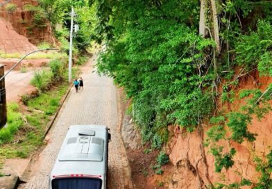 Árvore em Risco Iminente de Deslizamento Coloca Vidas em Perigo em Parque Lajinha, Natividade