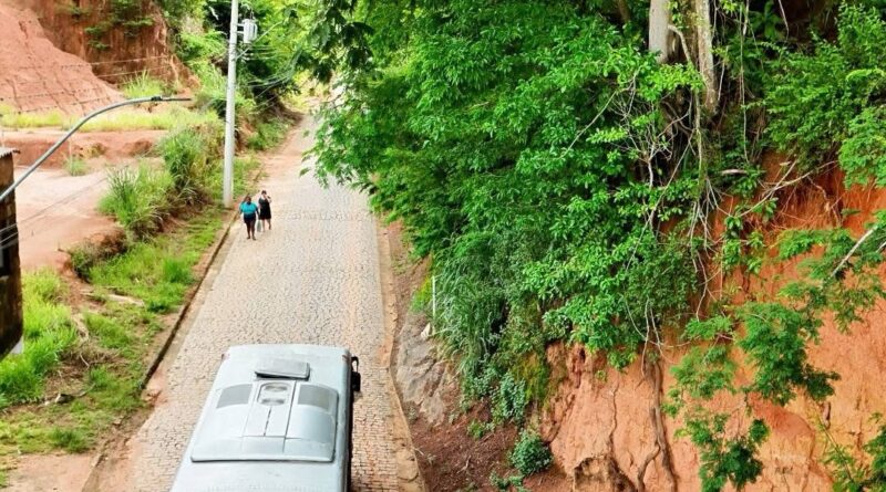 Árvore em Risco Iminente de Deslizamento Coloca Vidas em Perigo em Parque Lajinha, Natividade