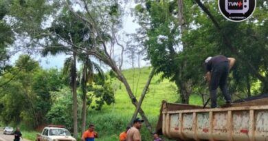 Varre-Sai realiza operação tapa-buracos na RJ-214, inclusive em trecho de Natividade