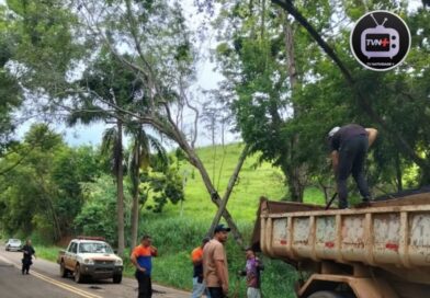 Varre-Sai realiza operação tapa-buracos na RJ-214, inclusive em trecho de Natividade