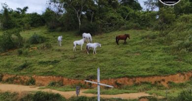 Parque São Luís Gonzaga, em Natividade, segue sendo alvo de preocupação!