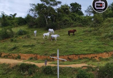 Parque São Luís Gonzaga, em Natividade, segue sendo alvo de preocupação!