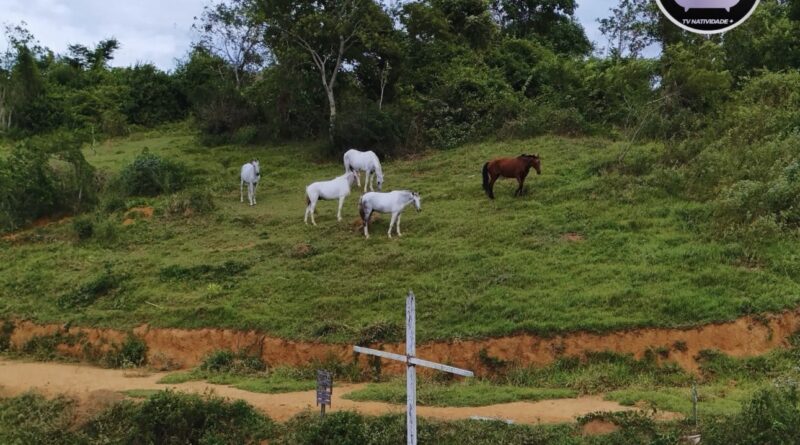 Parque São Luís Gonzaga, em Natividade, segue sendo alvo de preocupação!