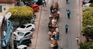 Fé e Tradição: Comitiva com 29 Carros de Bois Segue Rumo a Raposo