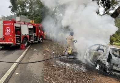 Carro pega fogo após colisão com árvore na RJ-220 entre Natividade e Porciúncula
