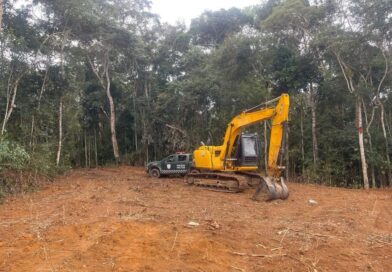 Polícia Ambiental flagra desmatamento em área de preservação em Varre-Sai