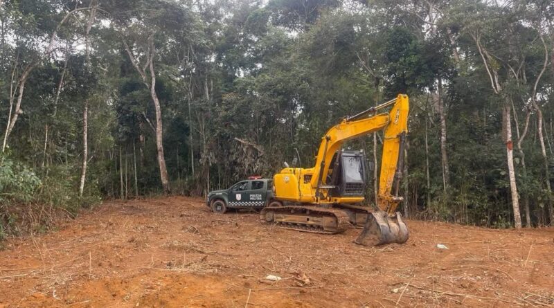 Polícia Ambiental flagra desmatamento em área de preservação em Varre-Sai