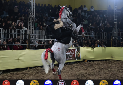 Confira a cobertura do dia 20/06 da 37ª EXFANA em Natividade